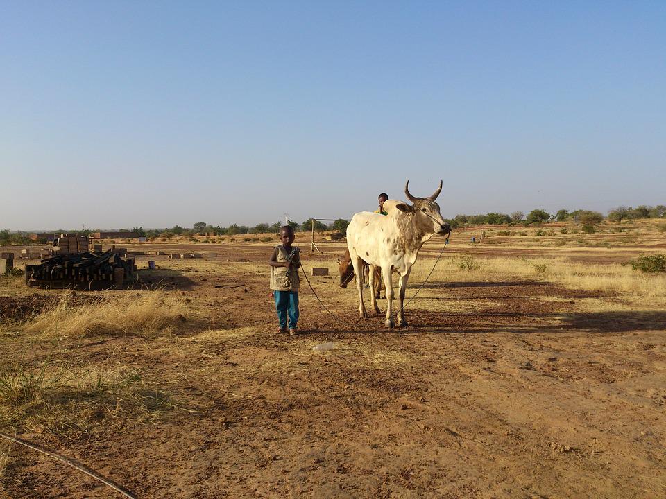 Pourquoi visiter le Burkina Faso ?